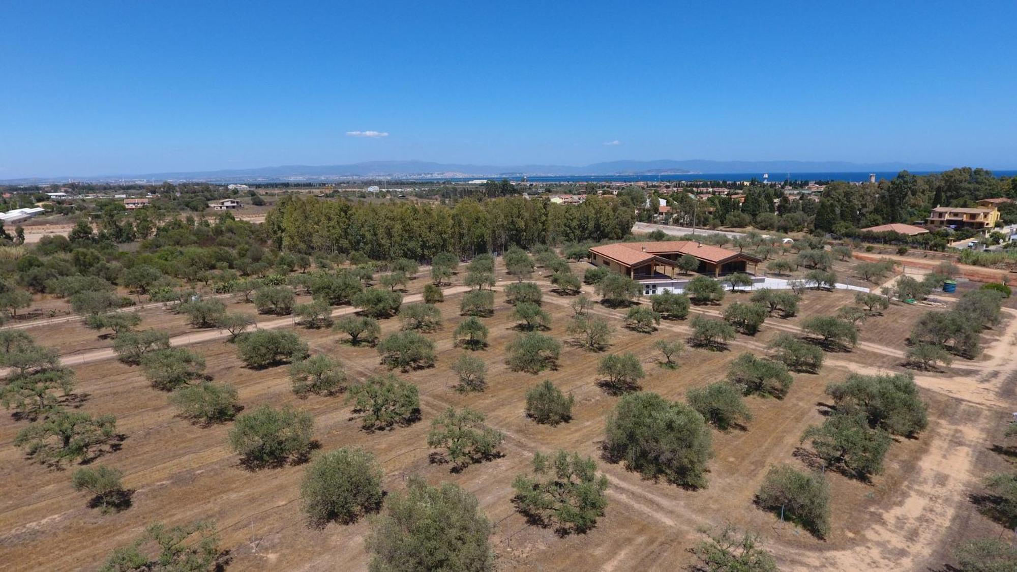 Agriturismo Corte Degli Ulivi Capoterra Exterior photo